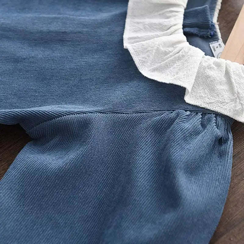 Girls Princess Dress Children Dresses Baby Girl Gown Long Sleeve Clothes Party Velvet Dress For Spring