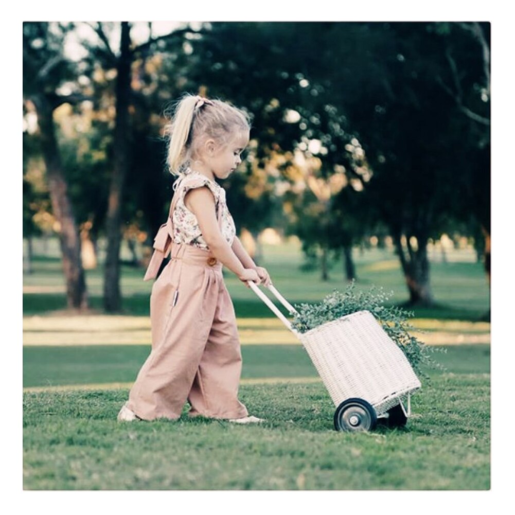 Girl's Floral Top and Jumpsuit 2PCS outfit Set