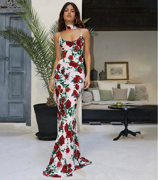 Women's Floral Print V Neck Scarf Draped Maxi  Summer Backless Outfit  Party Dress