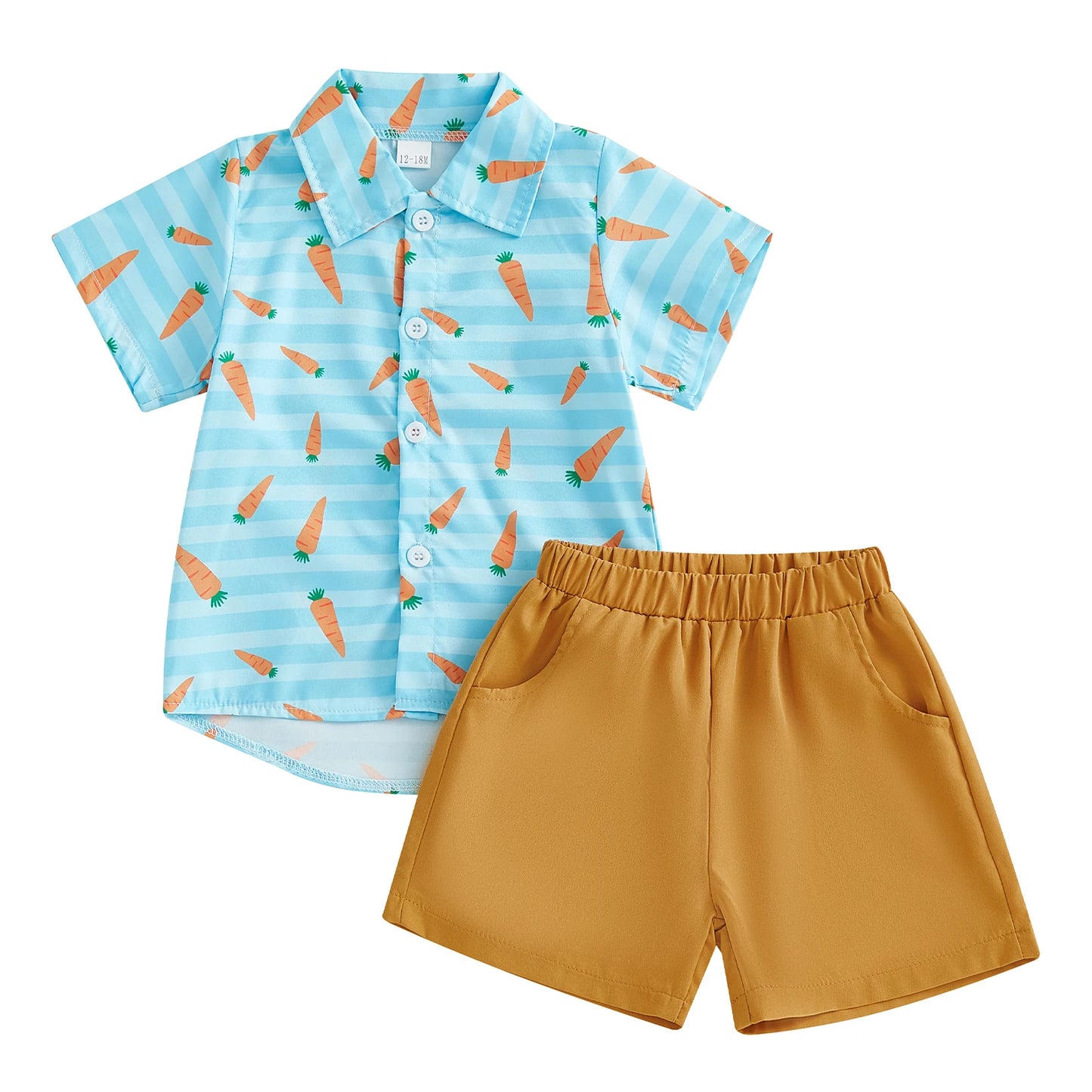 0-5Y Toddler Kids Boy's Easter Clothes Sets Rabbit/Carrot Print Short Sleeves T-Shirt and Elastic Shorts
