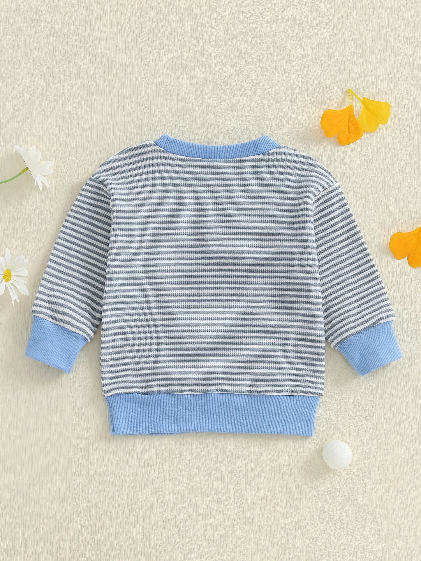 Baby Boys Car/Dinosaur Embroidered Striped Print Pullover Waffle Knit Top