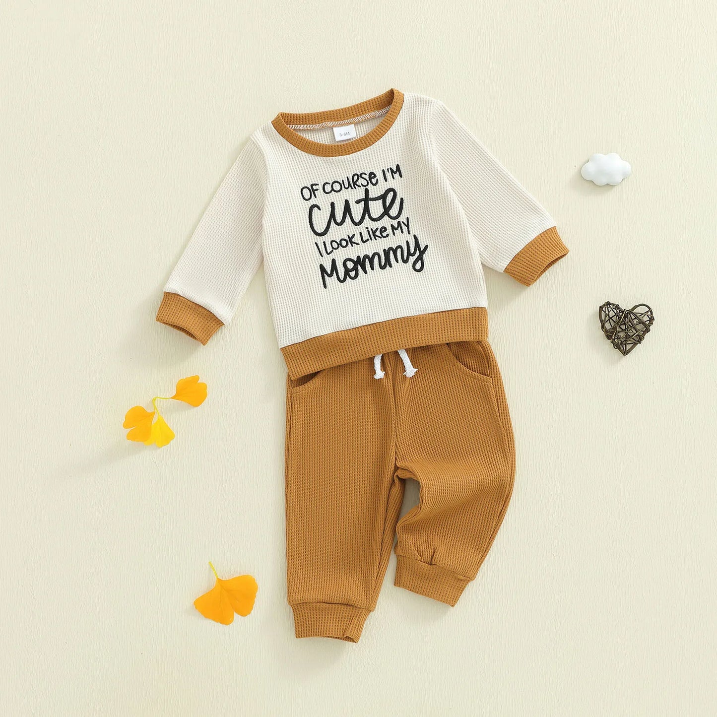 Baby Boys Letter Print Outfit Set - Long Sleeve Crew Neck Sweatshirt & Elastic Waist Pants (0-3Y)