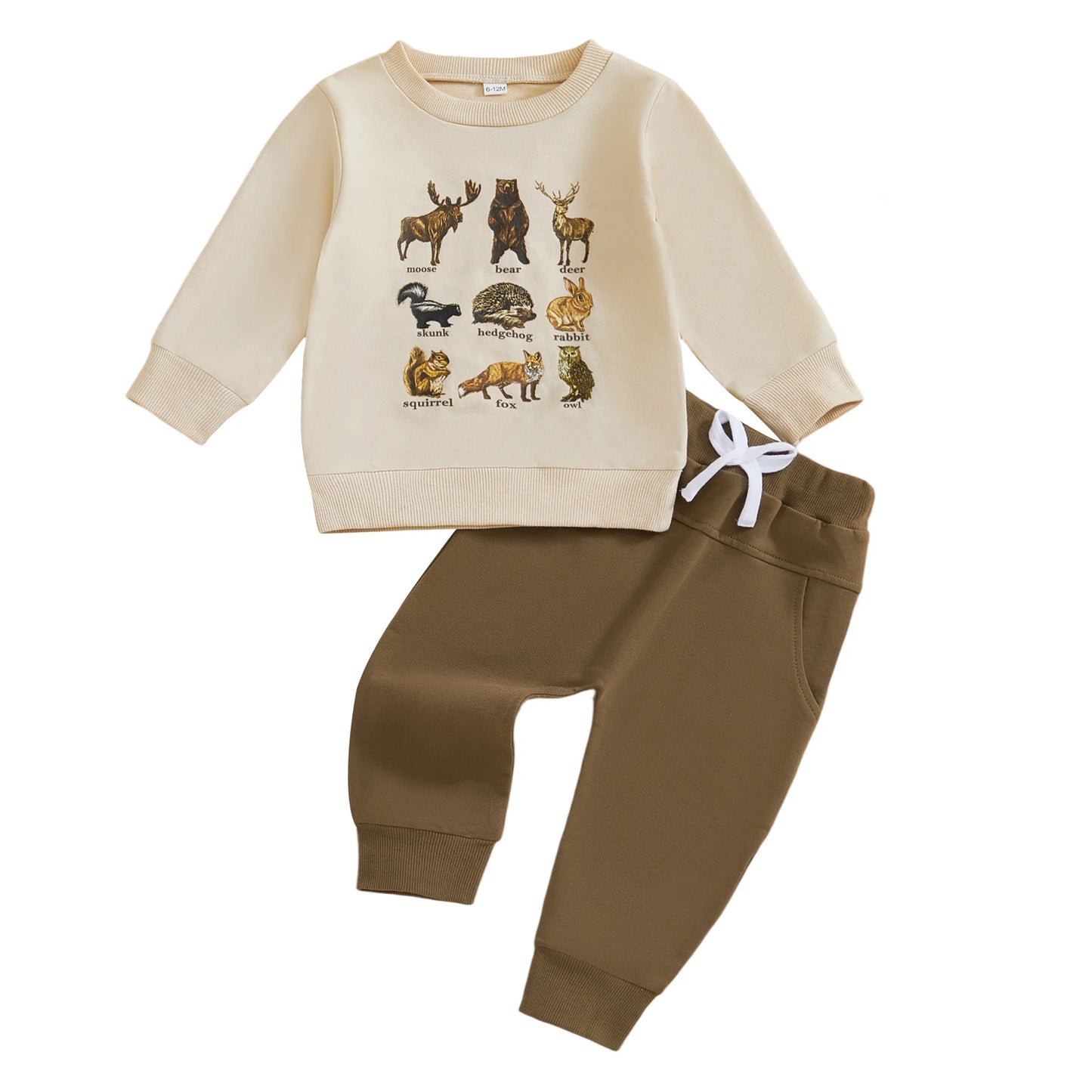 Baby Boy's Outfit Set - Dinosaur/Animal Print Sweatshirt & Elastic Pants