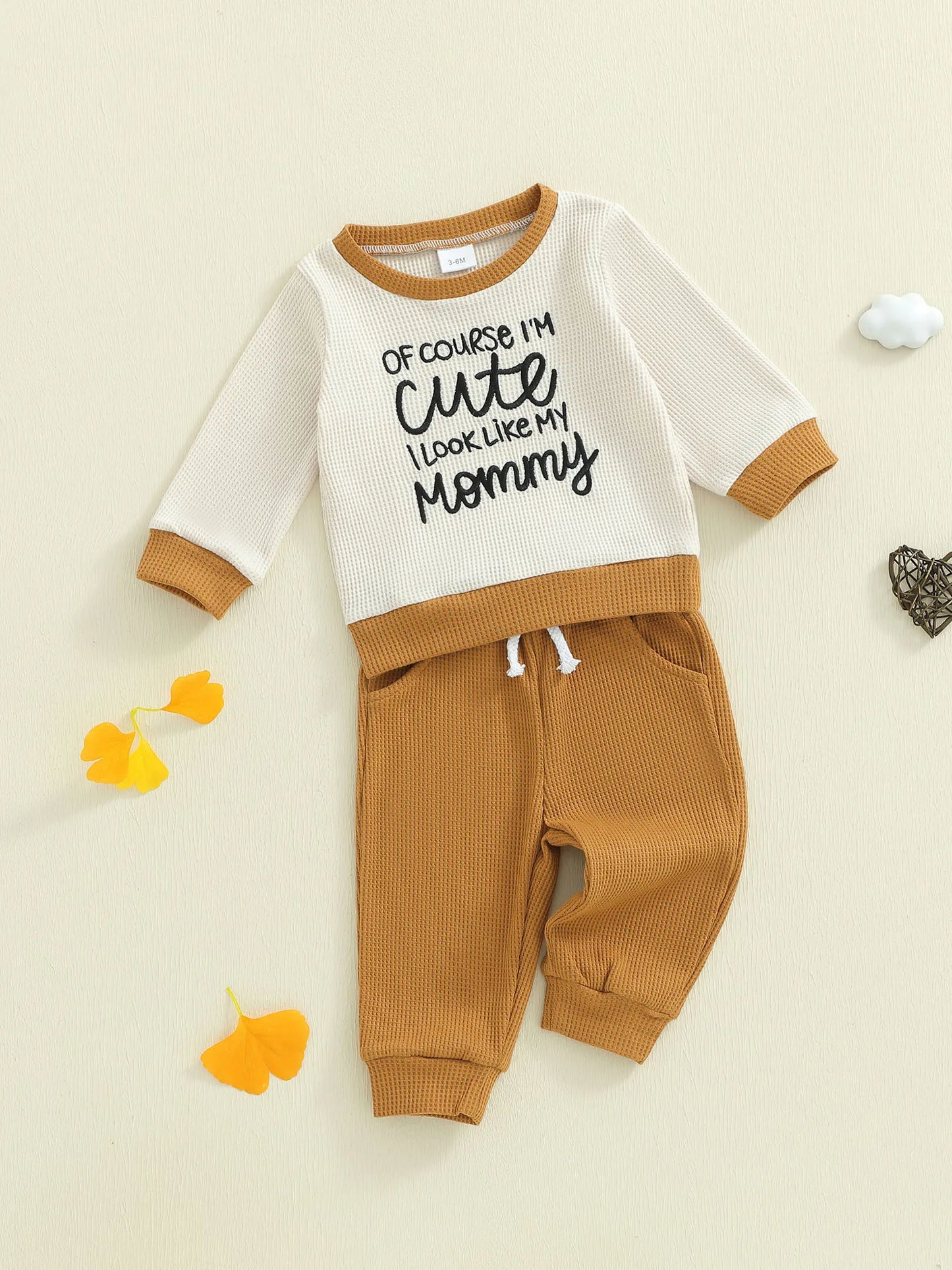 Baby Boys Letter Print Outfit Set - Long Sleeve Crew Neck Sweatshirt & Elastic Waist Pants (0-3Y)