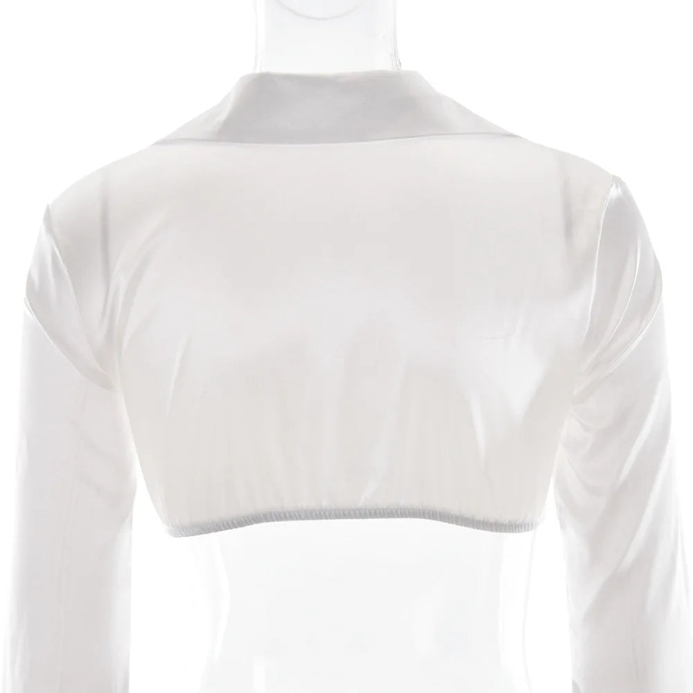 Women's Satin Long Sleeve 2 Piece Set - Deep V Neck Cropped Top & Matching Bottom