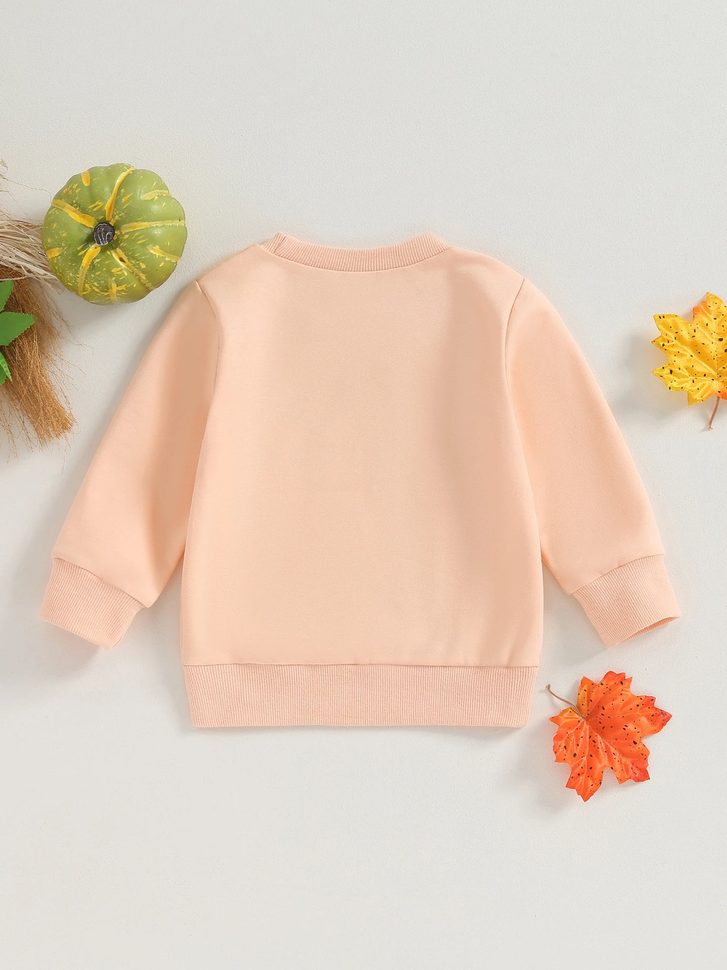 Baby Girl Halloween Sweatshirt - Long Sleeve Ghost Print Pullover (0-4Y)
