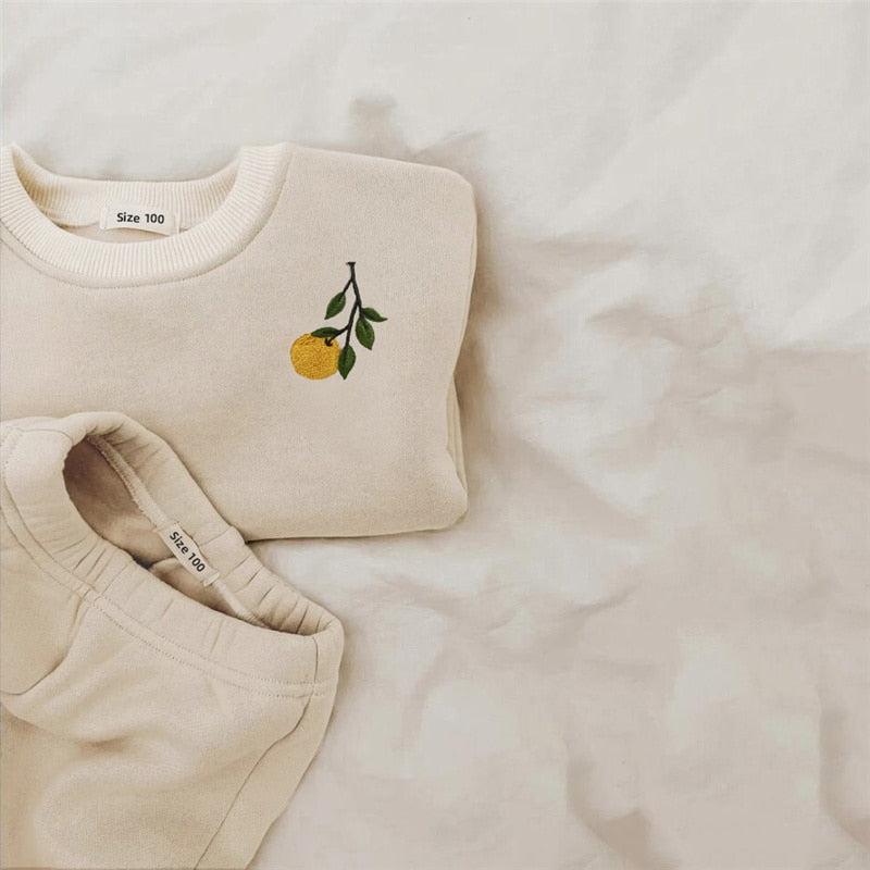 Children's 2Pcs Embroidery Thicken Fleece Warm Sweatshirt and Pants Set Outfit