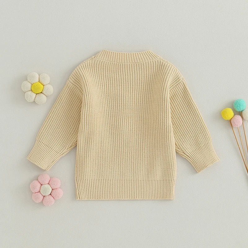 Toddler Girl's Sweater - Letter Embroidery Long Sleeve Crew Neck Pullover