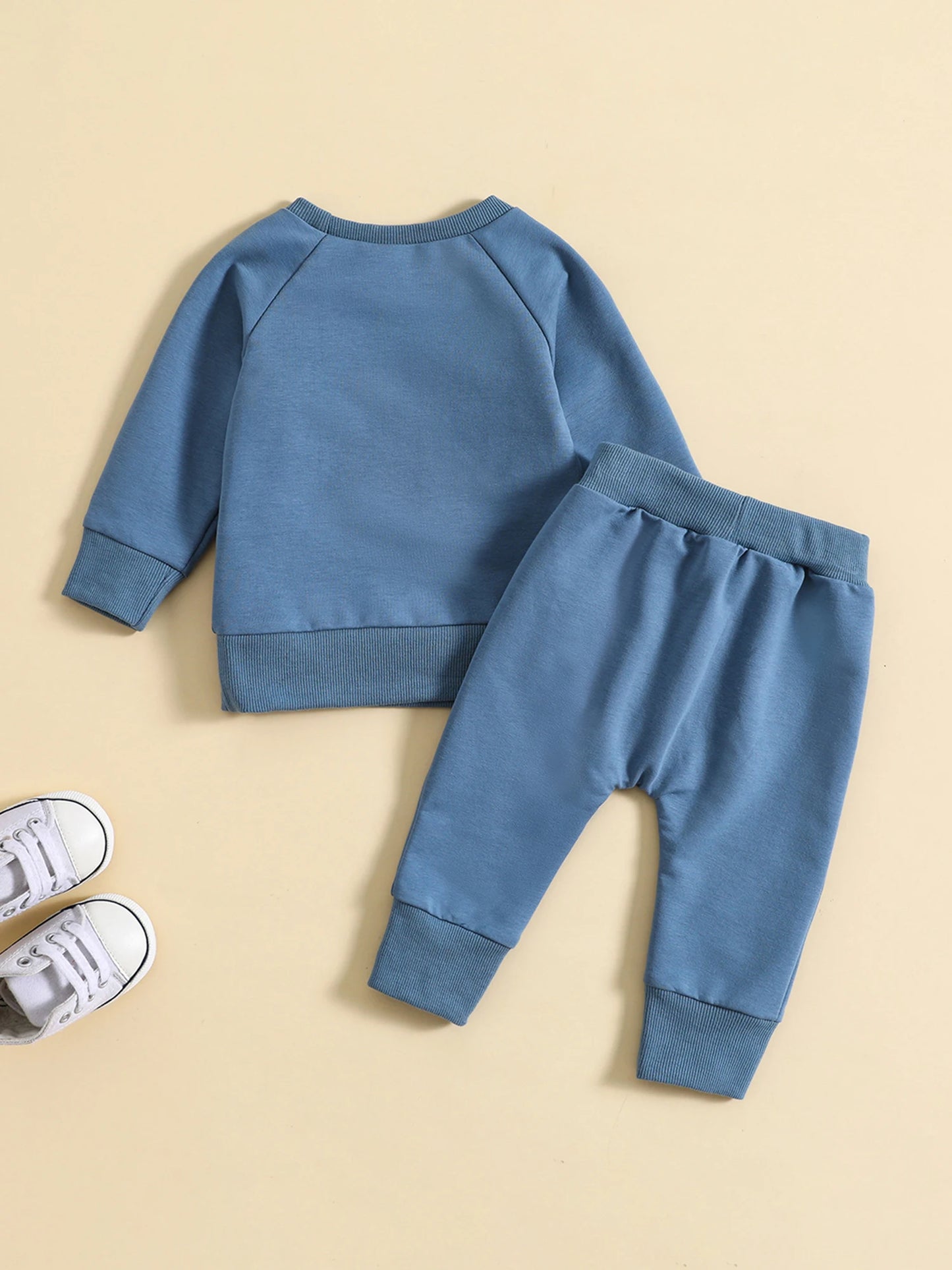 Toddler Boy's 2-Piece Outfit Set - Bear Embroidery Pullover & Drawstring Pants