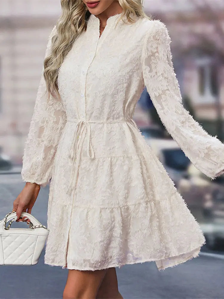Autumn Winter Fashion - Elegant V-neck Chiffon Dress