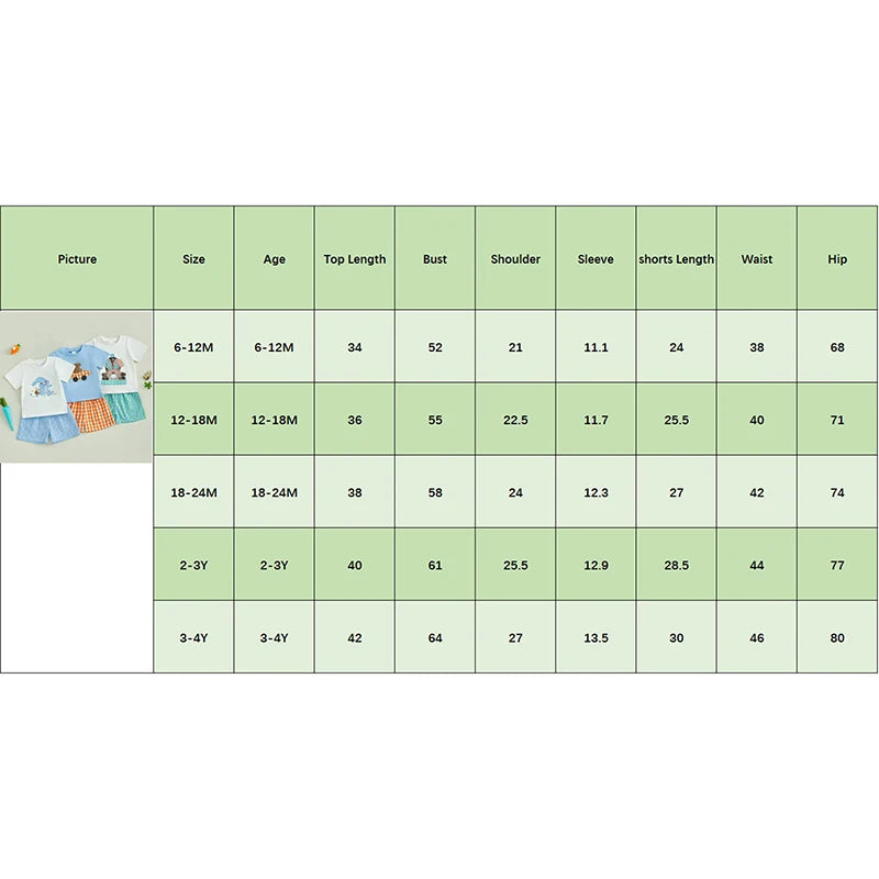 0-4Y Toddler Kids Boys Easter Clothes Set 2pcs Rabbit Embroidery Short Sleeve Plaid T-Shirt with Elastic Waist Shorts