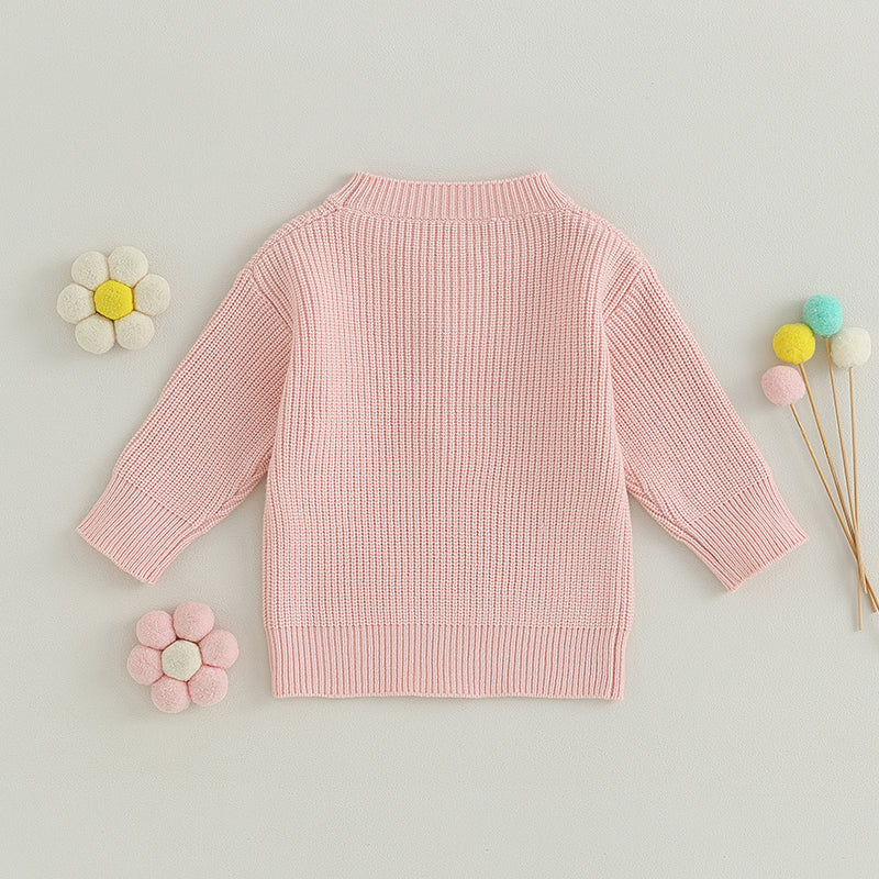 Toddler Girl's Sweater - Letter Embroidery Long Sleeve Crew Neck Pullover
