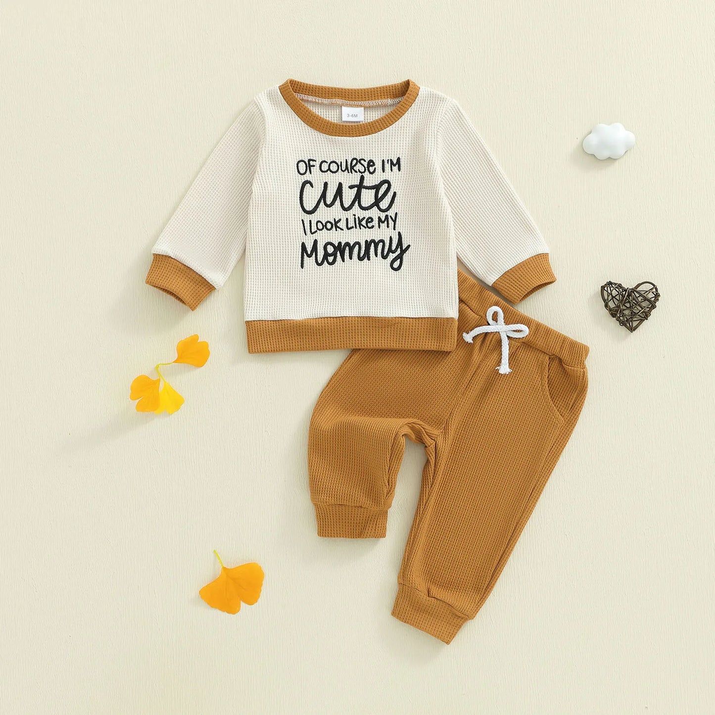 Baby Boys Letter Print Outfit Set - Long Sleeve Crew Neck Sweatshirt & Elastic Waist Pants (0-3Y)