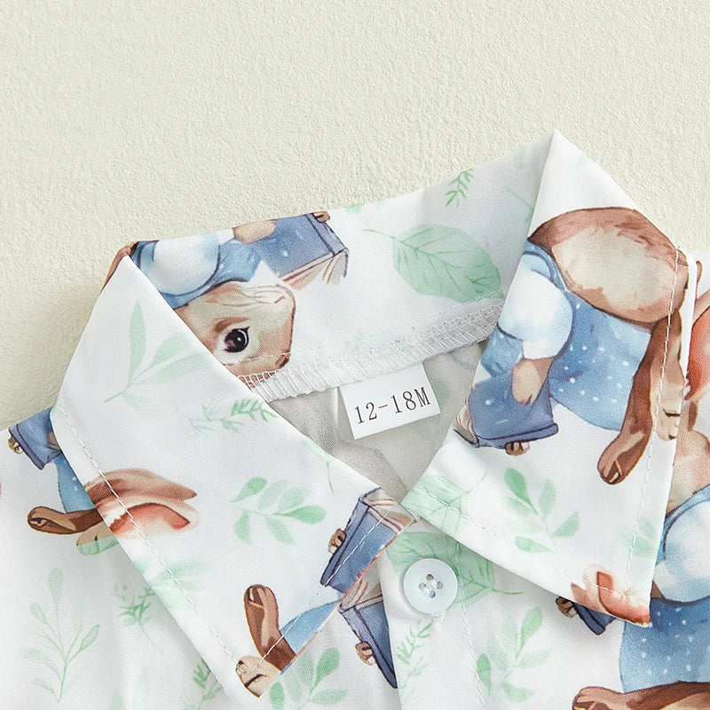 0-5Y Toddler Kids Boy's Easter Clothes Sets Rabbit/Carrot Print Short Sleeves T-Shirt and Elastic Shorts