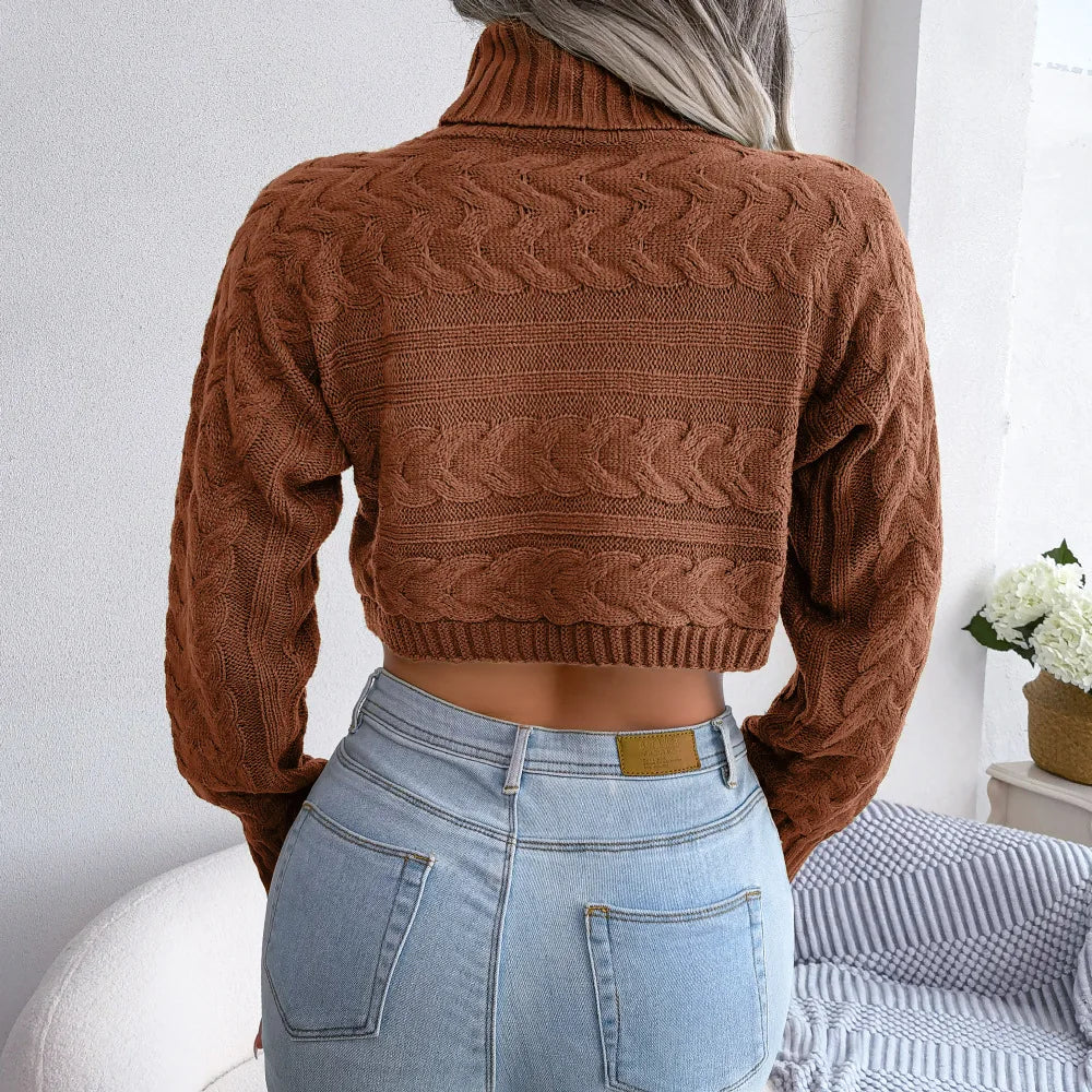 Women's Autumn Winter Casual Twist Long Sleeve Turtleneck Crop Knit Sweater