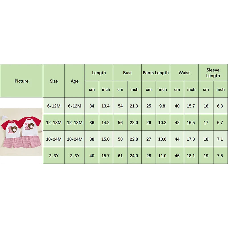 Summer Baby Boys Birthday Baseball Outfit Set - Letter Embroidery T-Shirt & Plaid Shorts (0-3Y)