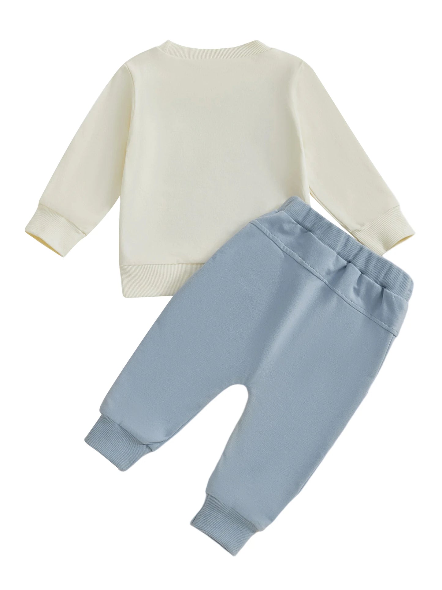 Baby Boy's Outfit Set - Dinosaur/Animal Print Sweatshirt & Elastic Pants