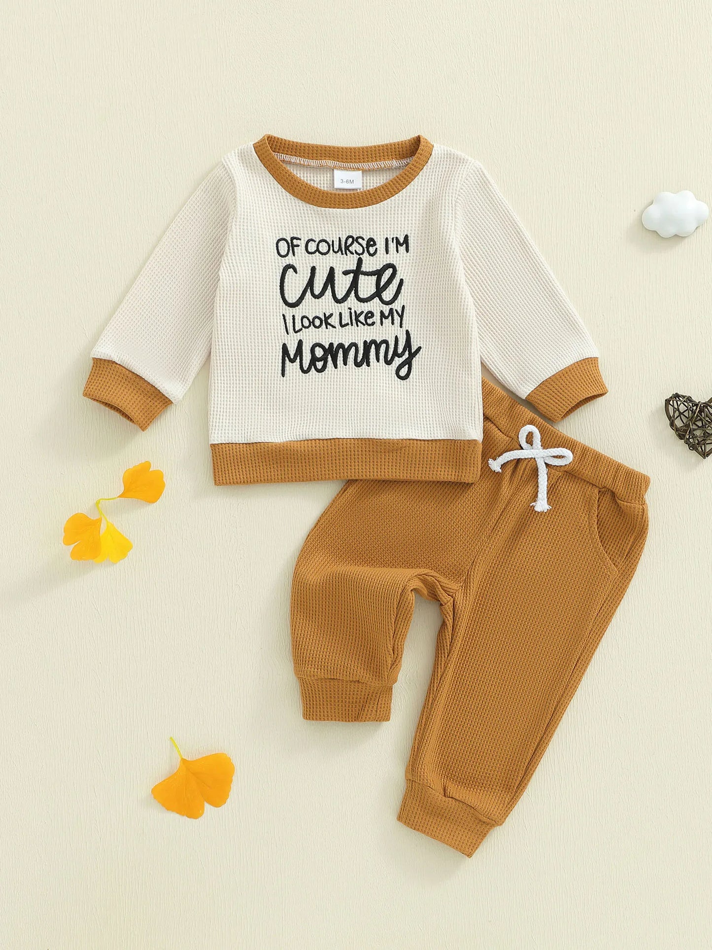 Baby Boys Letter Print Outfit Set - Long Sleeve Crew Neck Sweatshirt & Elastic Waist Pants (0-3Y)