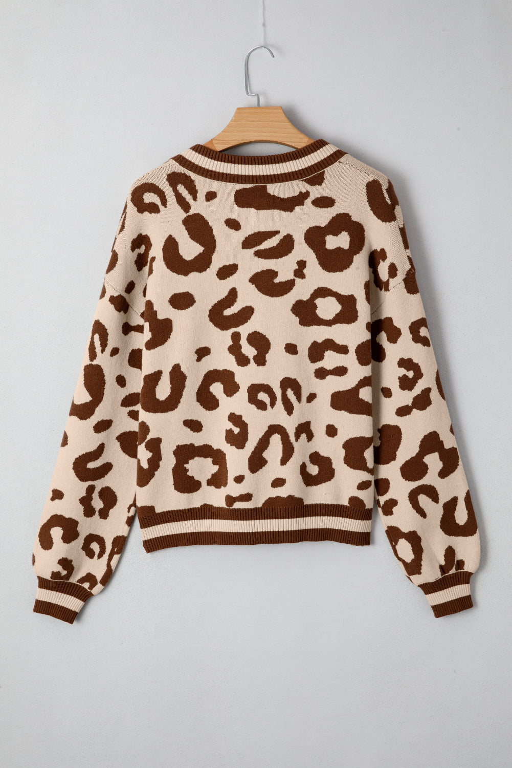 Leopard Printed Knit V Neck Sweater