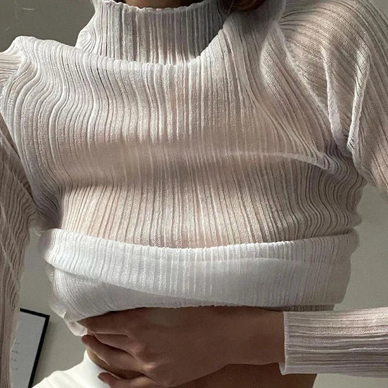 Women's Elegant See Through Long Sleeve Mock Neck Top