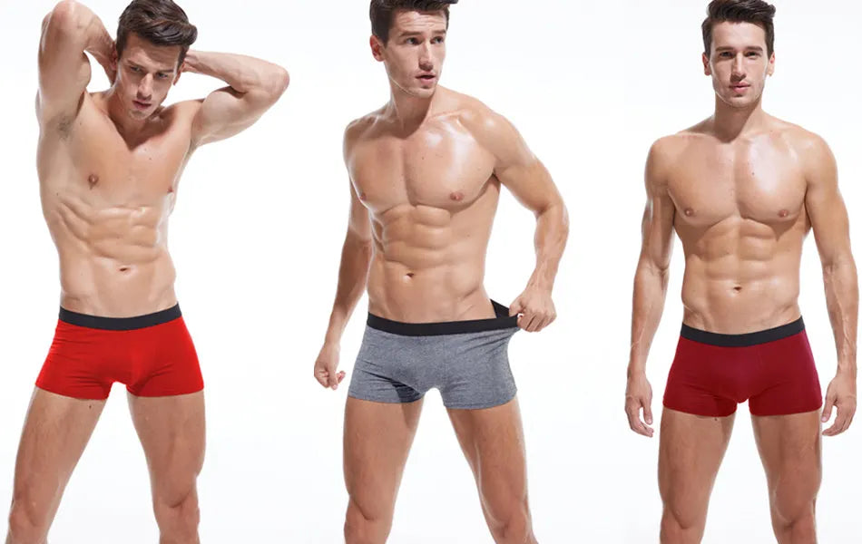 4pcs/lot Men's Underwear Boxers Breathable Cotton Underpants Comfortable Shorts Boxer