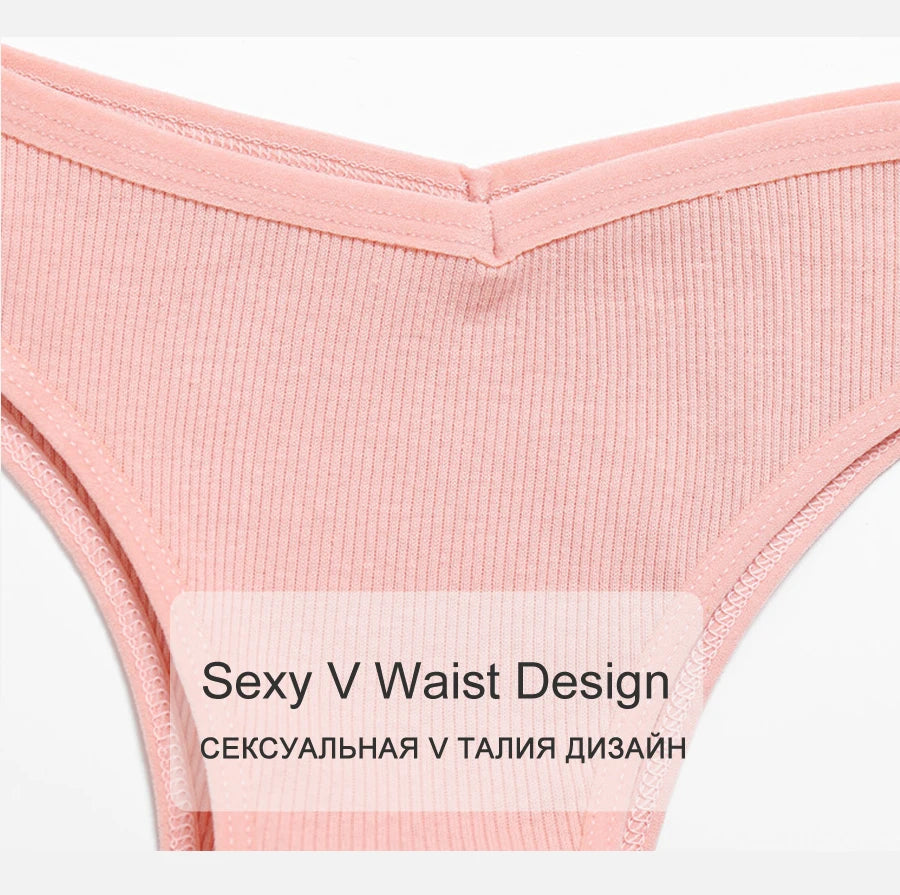 Women's Cotton Brazilian Panties 3-Piece Set - V-Waist Bikini Underwear