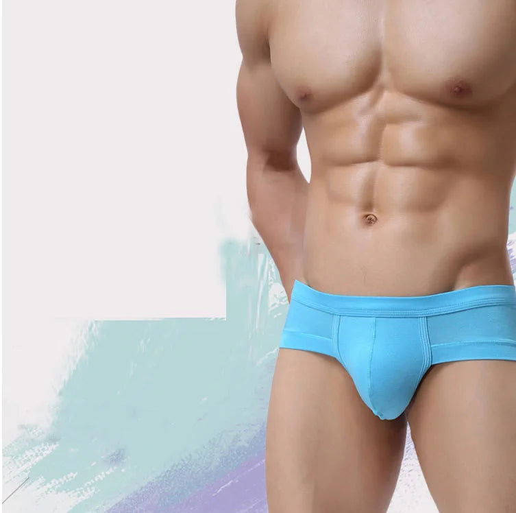 Men Comfortable Briefs Underwear