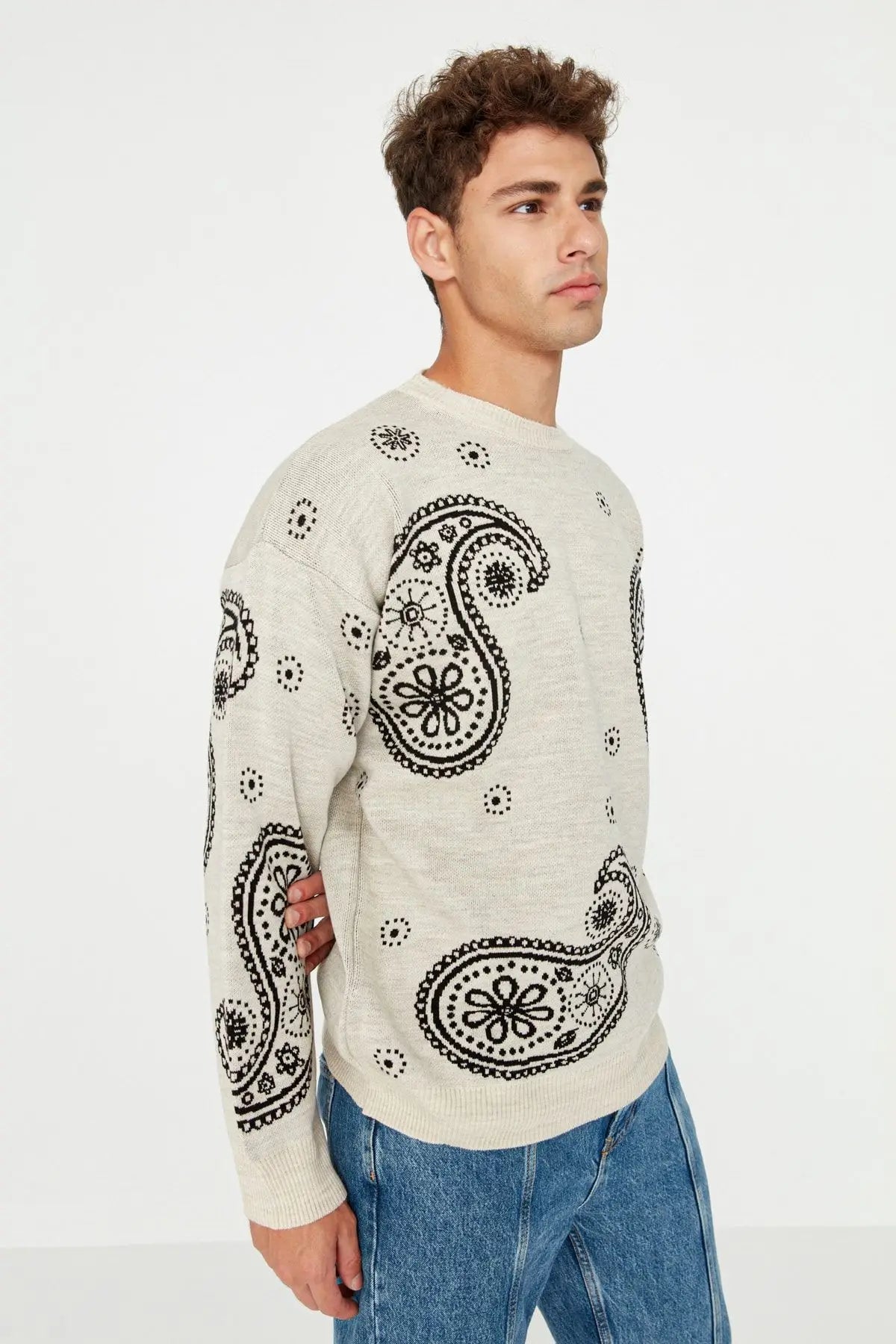 Men's Pullover Oversize Standard Sleeve Paisley Crew Neck Knitwear Unprinted Sweater