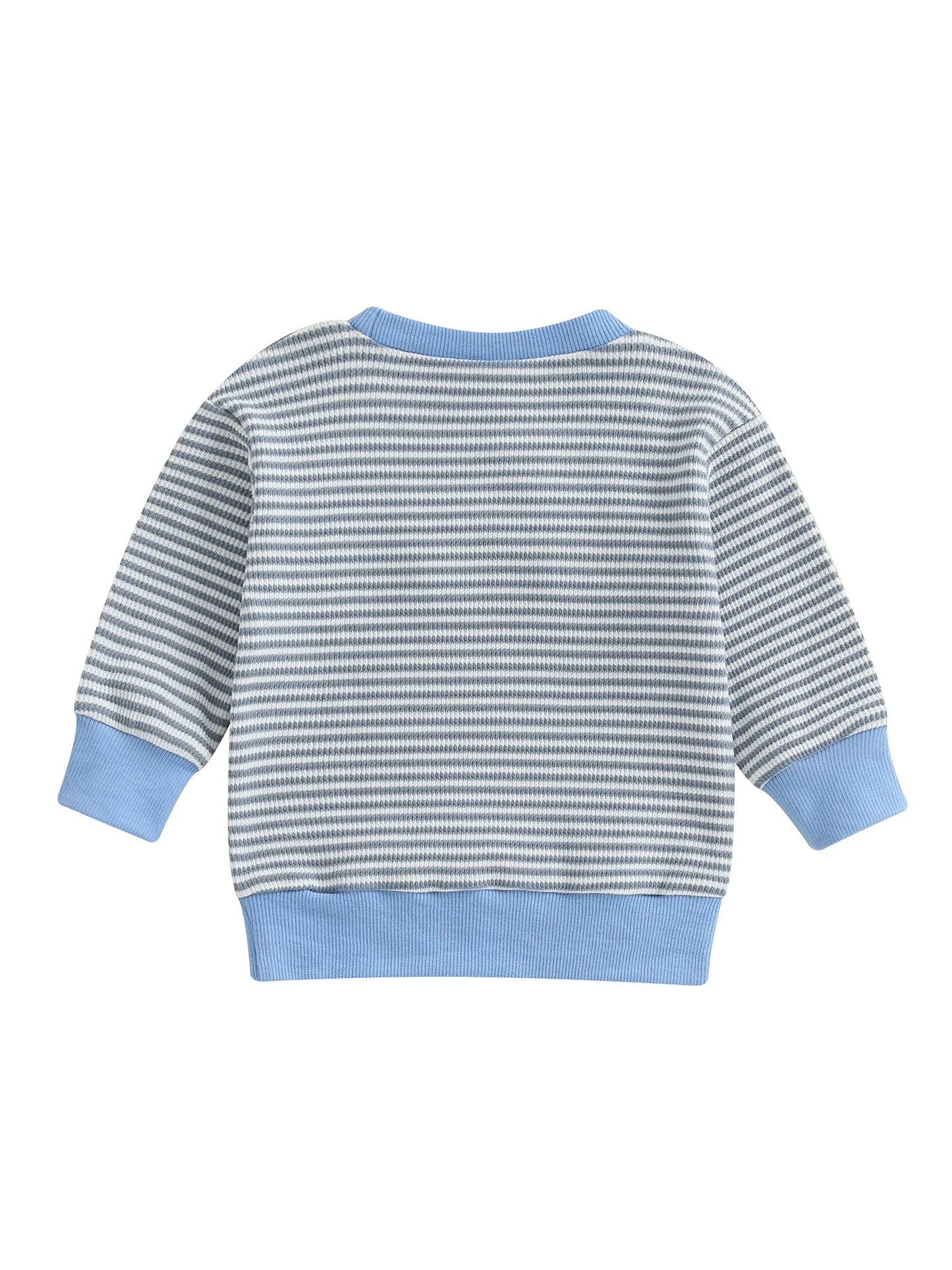 Baby Boys Car/Dinosaur Embroidered Striped Print Pullover Waffle Knit Top