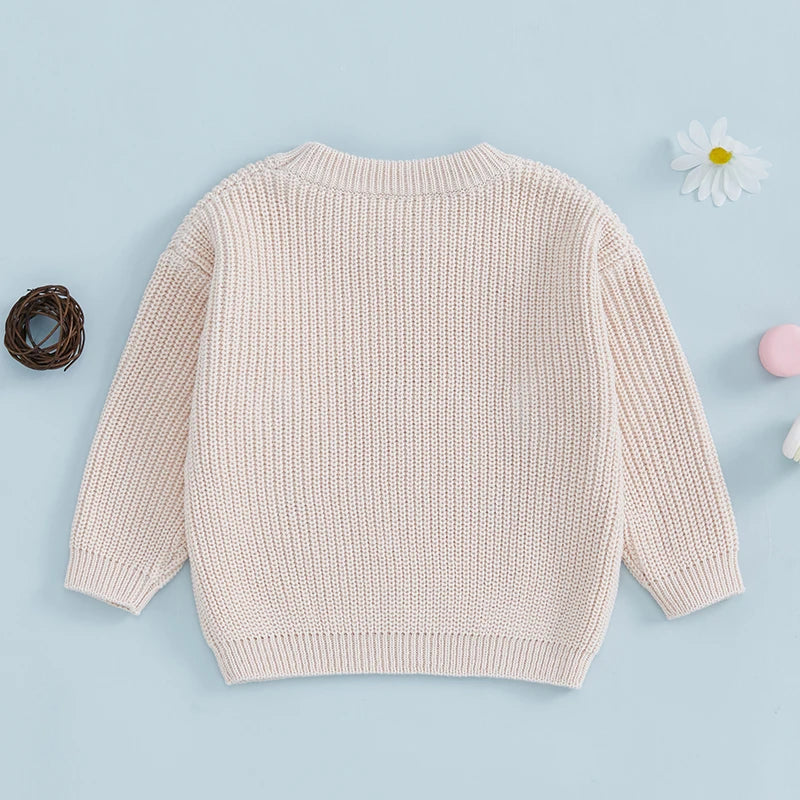 0-3Y Winter Baby Girls Lovely Knit Sweater - Long Sleeve Flower Fruit Embroidery Pullover Knitwear