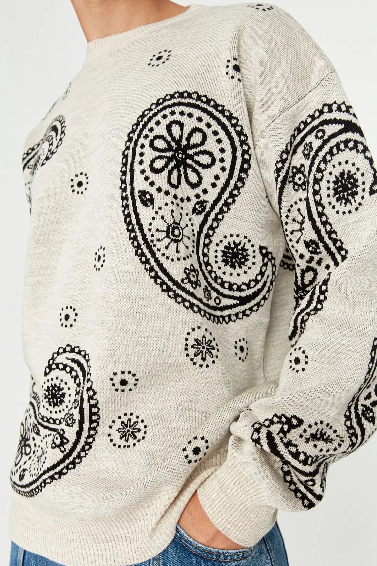 Men's Pullover Oversize Standard Sleeve Paisley Crew Neck Knitwear Unprinted Sweater