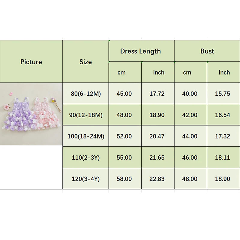 0-4Y Kids Girls Sleeveless Strap 3D Roses Lace Tulle Layered Dress with Wings