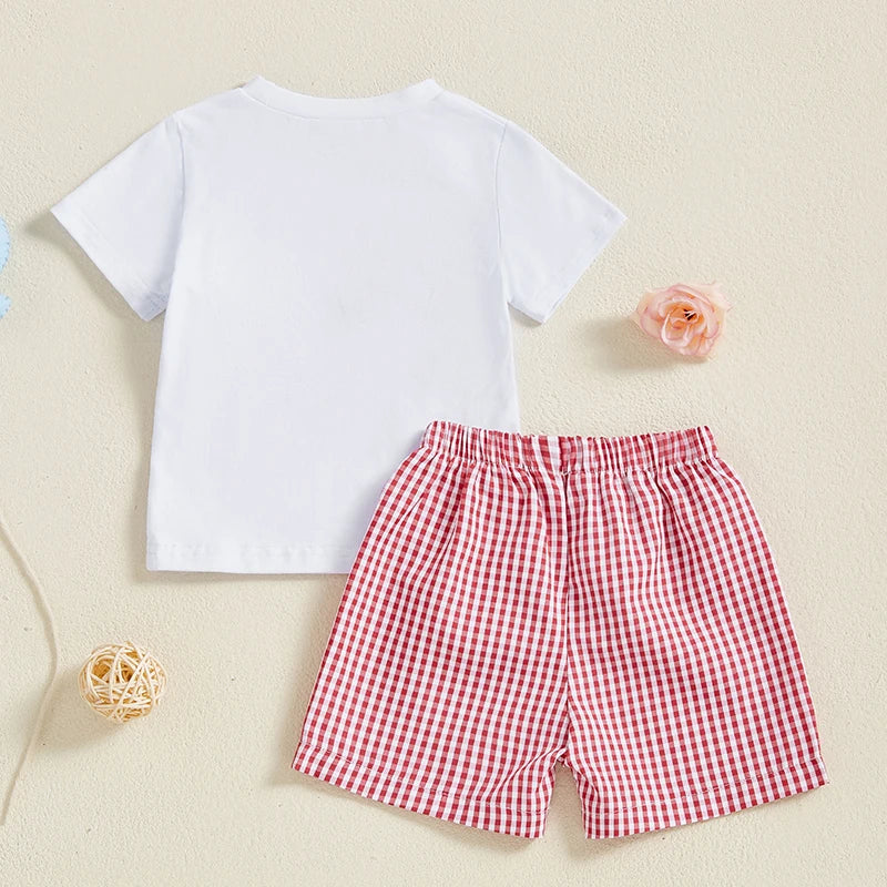 Summer Casual Baby Boys Birthday Outfit Set - Letter Animal Print T-Shirt with Plaid Shorts