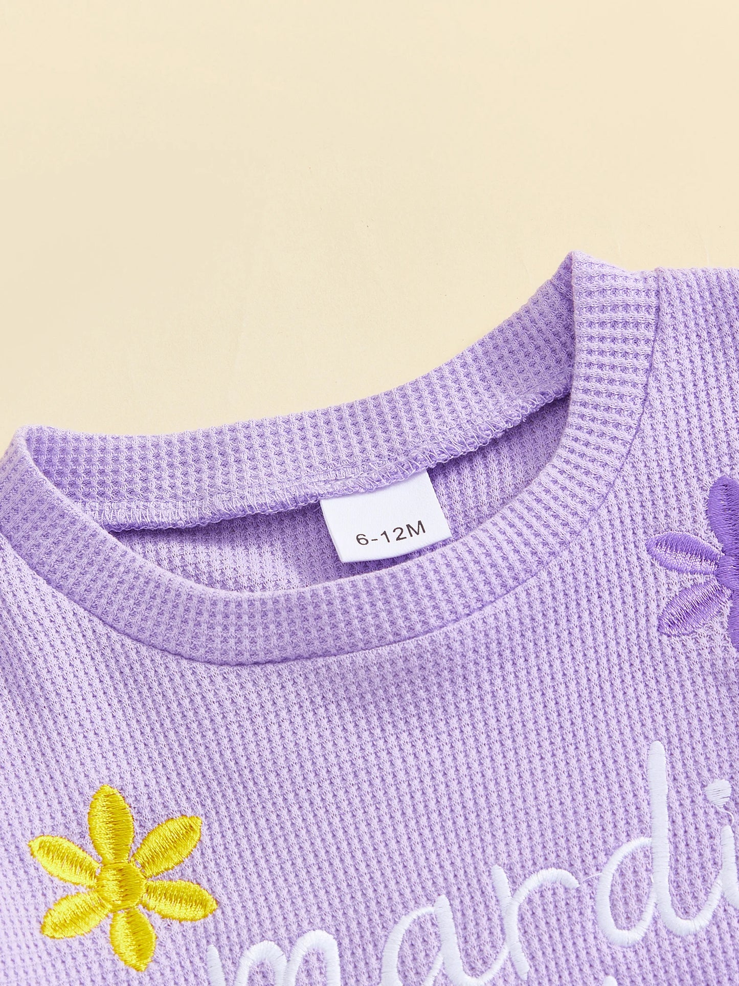 Toddler Kids Girls Carnival Long Sleeve Letter Floral Embroidery Sweatshirt and Pants Set