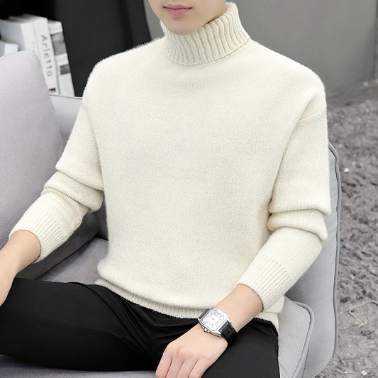 Autumn Winter Turtleneck Sweater - Solid Colour Warm Knit Pullover