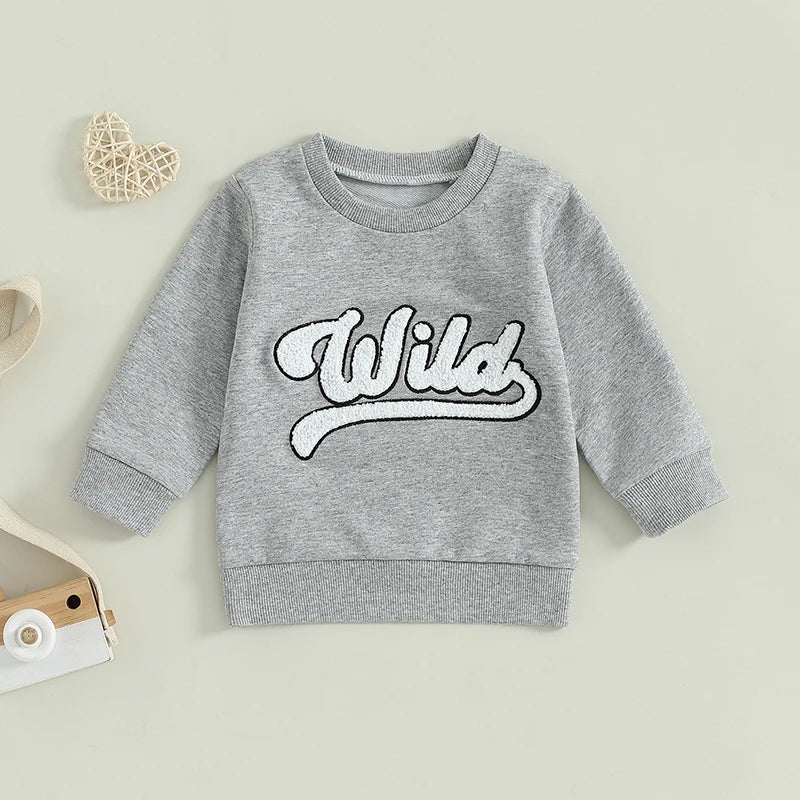 1-6Y Kids Boys Girls Fuzzy Letter Embroidered Crew Neck Long Sleeve Pullovers Sweatshirt