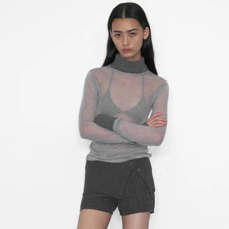 Women's Turtleneck See Through Long Sleeve Chic Elegant Knit Top