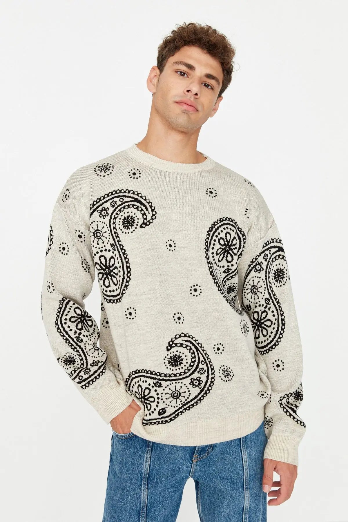 Men's Pullover Oversize Standard Sleeve Paisley Crew Neck Knitwear Unprinted Sweater