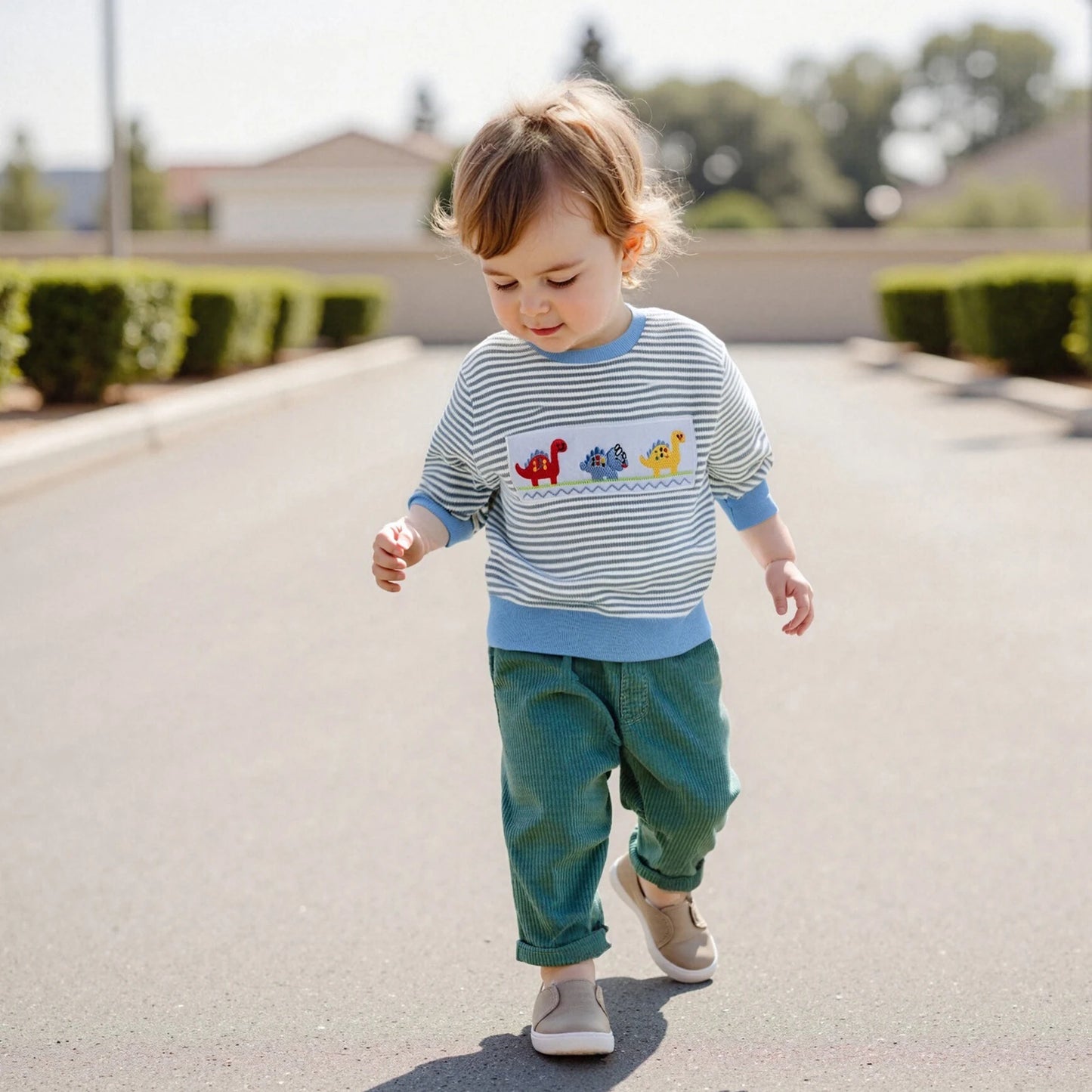 Baby Boys Car/Dinosaur Embroidered Striped Print Pullover Waffle Knit Top