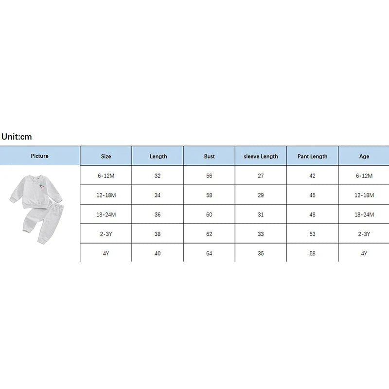 0-4Y Infant Baby Boys Fall Clothes Sets 2pcs Duck Embroidery Long Sleeve Crew Neck Tops with Elastic Waist Pants