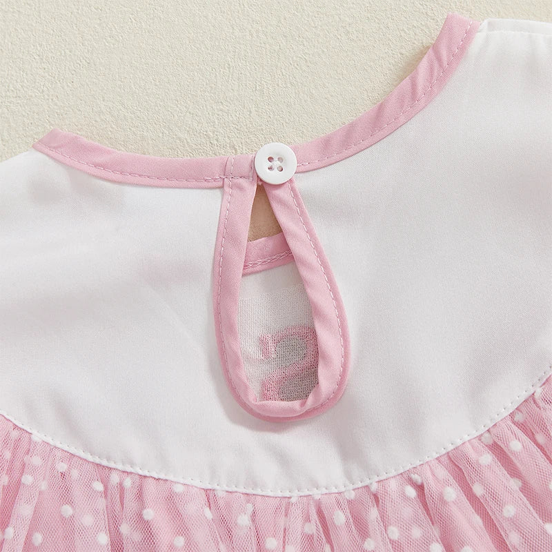 Baby Girls Birthday Romper Dress - Short Sleeve Dots Letters Embroidery Tulle Jumpsuit