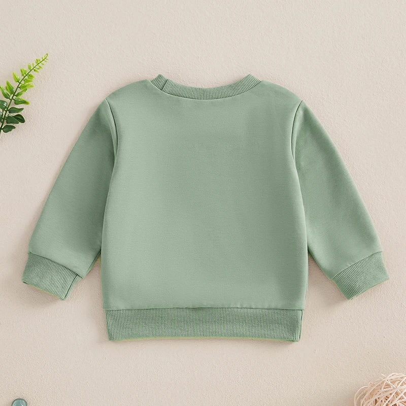 0-4Y Baby Boys Girls Sweatshirts Casual Long Sleeve Round Neck Flag Letter Print Pullovers Top