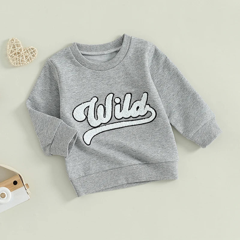 1-6Y Kids Boys Girls Fuzzy Letter Embroidered Crew Neck Long Sleeve Pullovers Sweatshirt