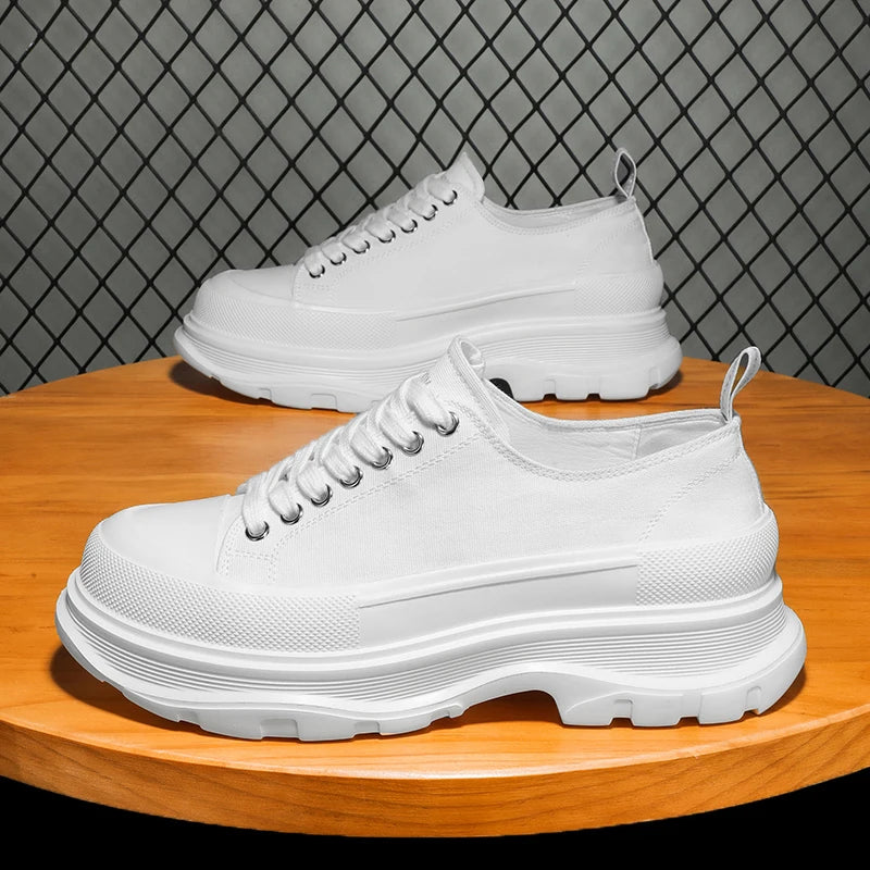 Men's Canvas Platform Ankle Breathable Sport Shoes