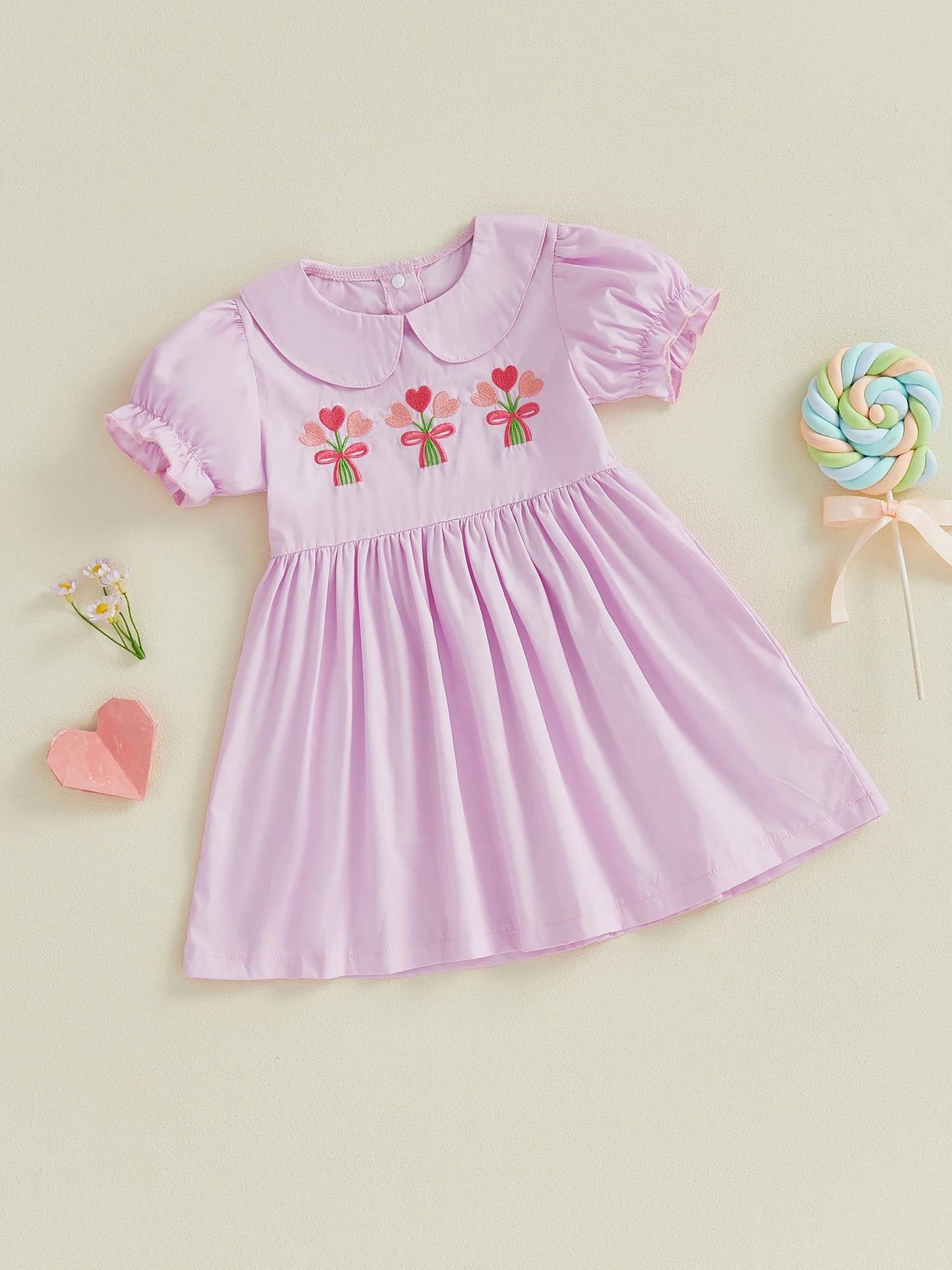 Girls Princess A-Line Dress - Floral Embroidery Doll Collar Short Sleeve