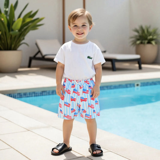 1-6Y Toddler Kids Boys Beach Shorts Flag/Popsicle Print Casual Elastic Shorts