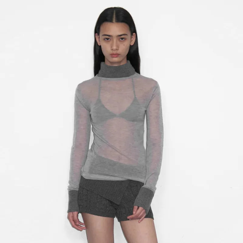 Women's Turtleneck See Through Long Sleeve Chic Elegant Knit Top