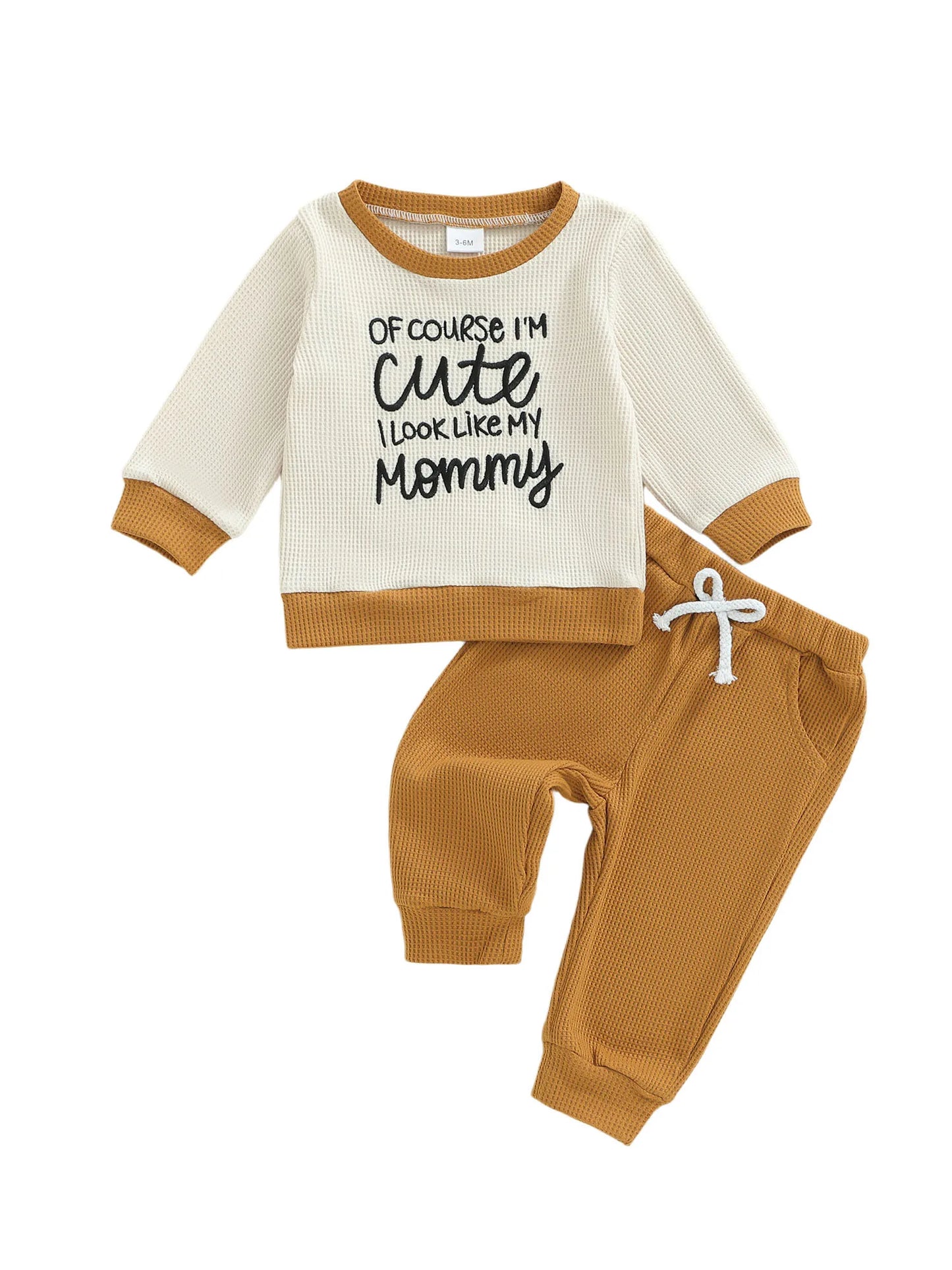Baby Boys Letter Print Outfit Set - Long Sleeve Crew Neck Sweatshirt & Elastic Waist Pants (0-3Y)