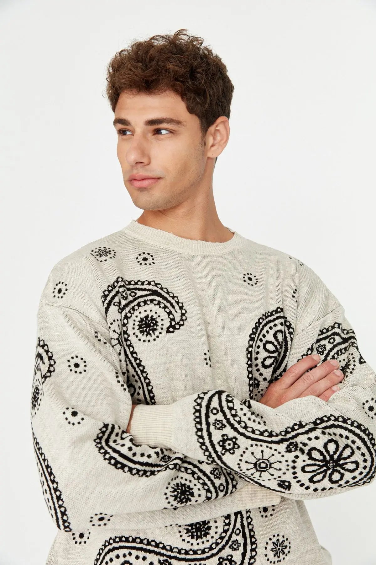 Men's Pullover Oversize Standard Sleeve Paisley Crew Neck Knitwear Unprinted Sweater