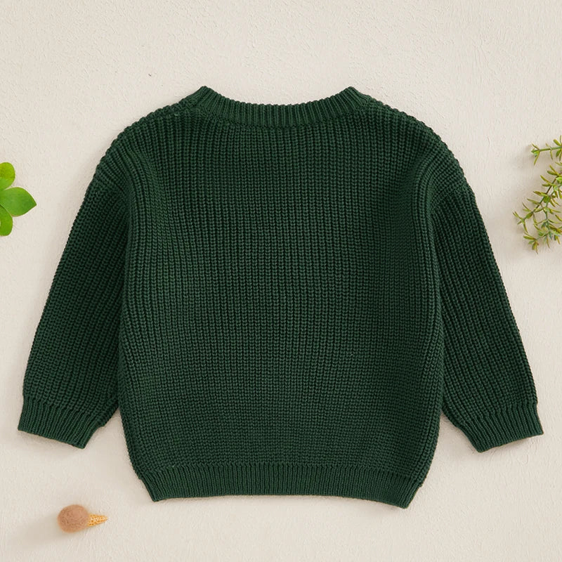 0-3Y Autumn Winter Baby Boys Girls Knit Sweater  Letter Embroidery Crew Neck Long Sleeve Pullover Top